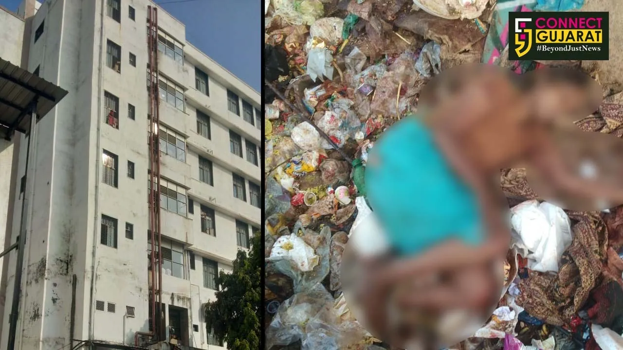 Mentally unstable woman tried to commit suicide in Vadodara
