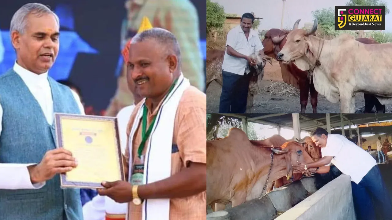 Vanraj Sinh a cow farmer at Shinor practice natural farming