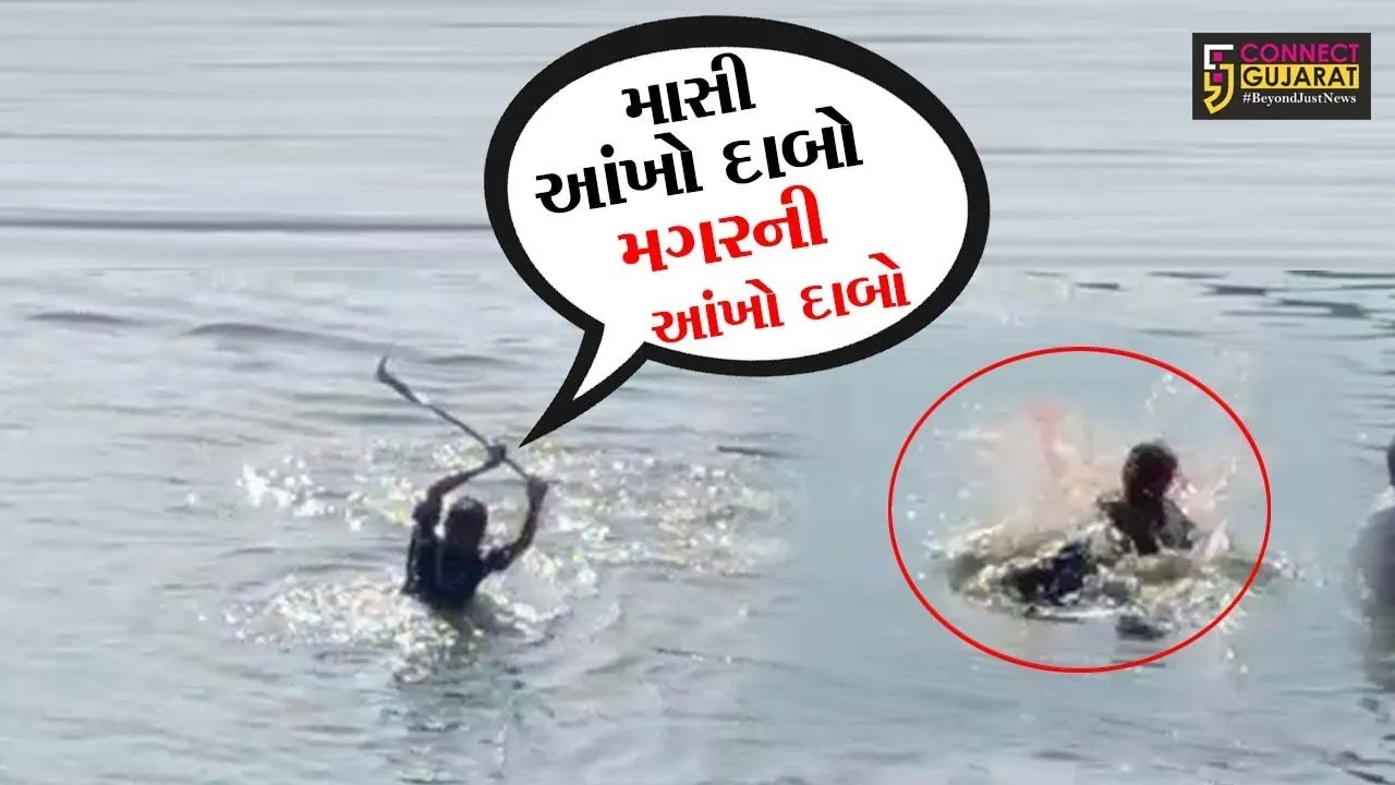 Live Rescue - Old lady fight with crocodile for life
