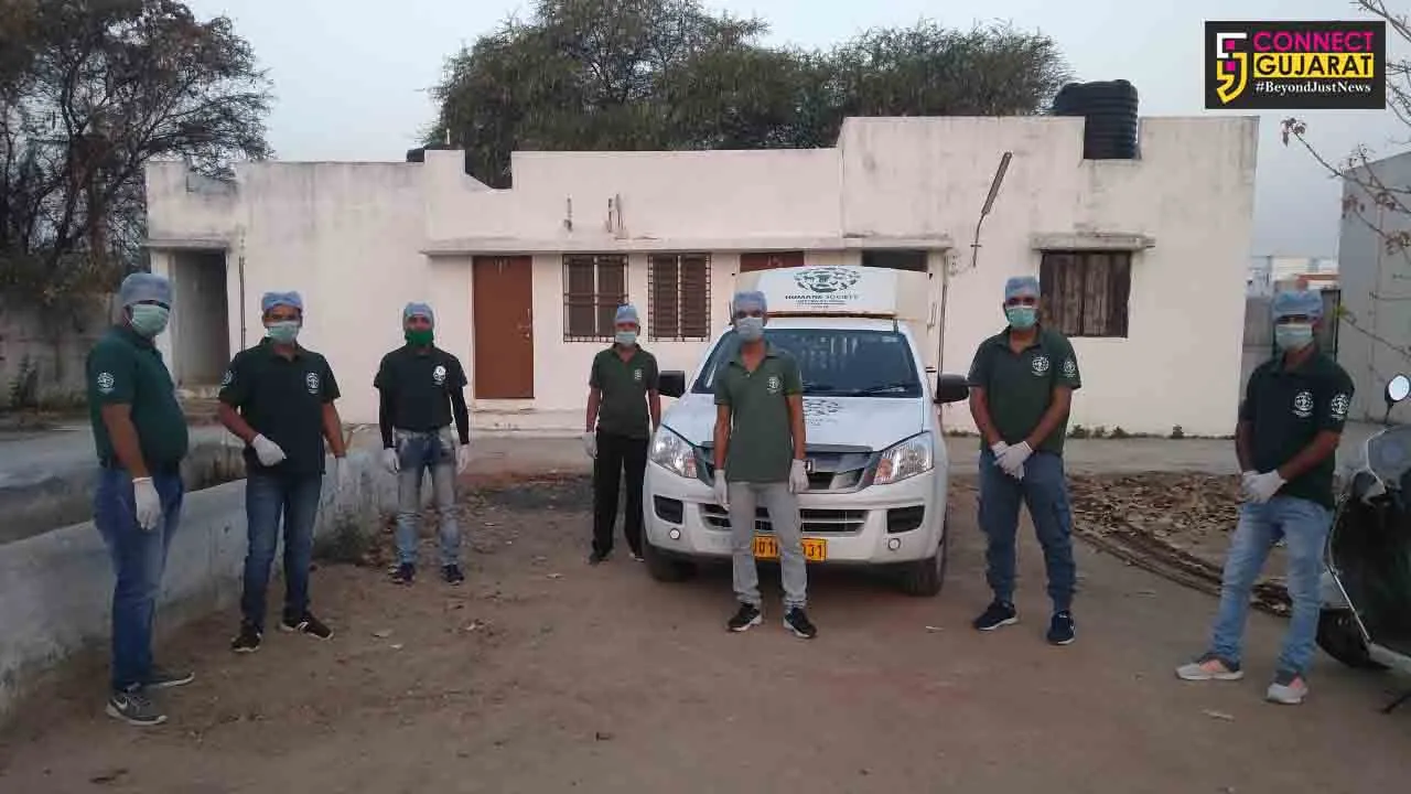 Feeding drive for street dogs during lockdown