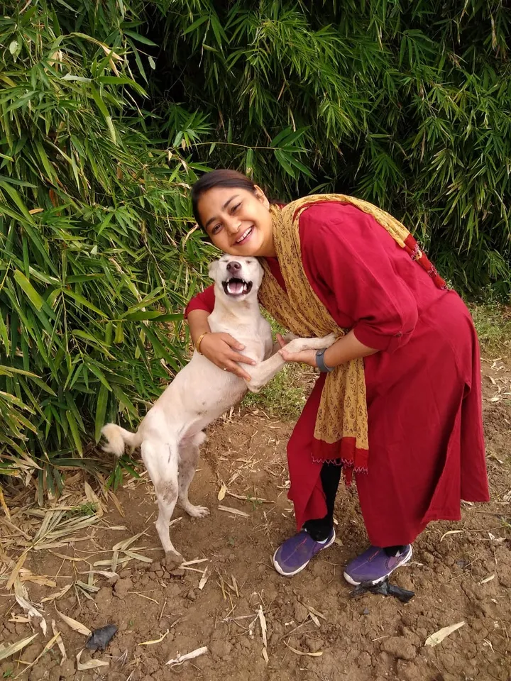 WhatsApp group of 90 people in Vadodara comes to rescue for street dogs