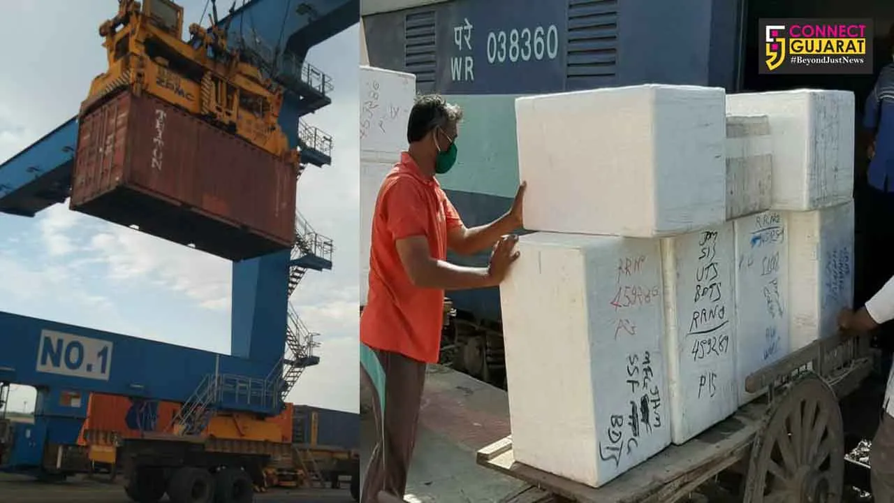 WR to run 105 more trips of 8 timetabled parcel special trains