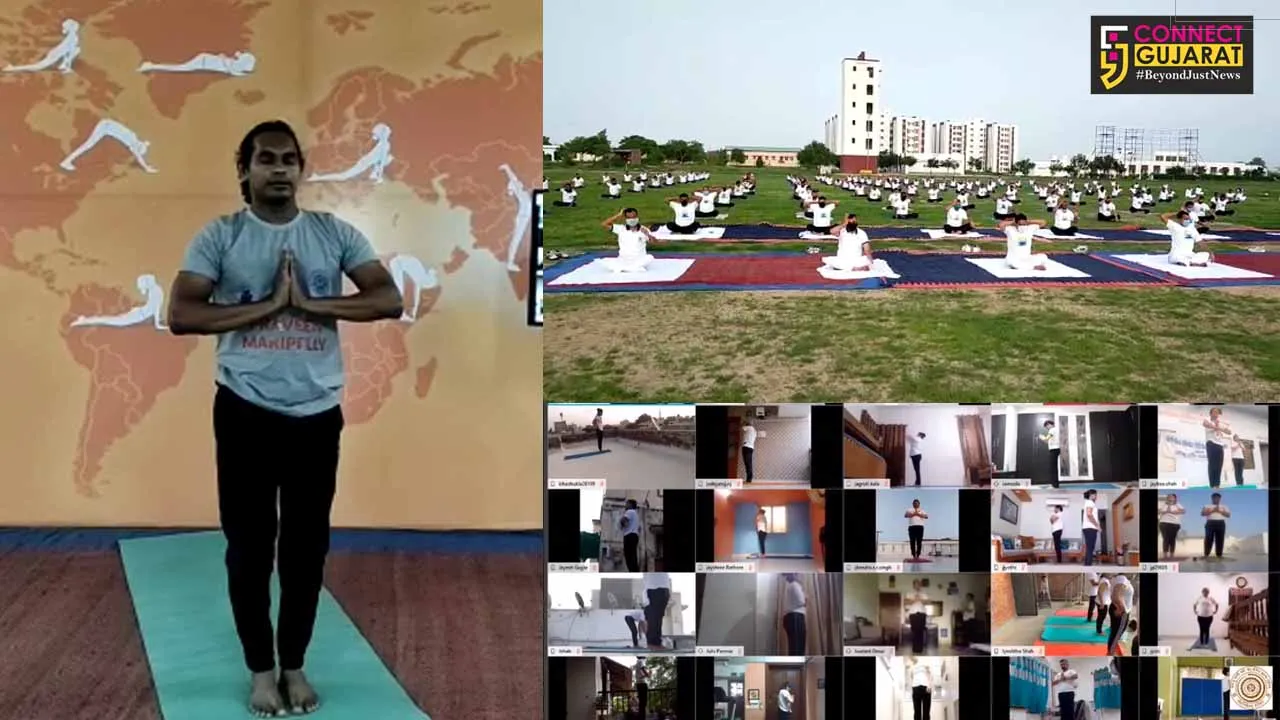 Yoganiketan Vadodara celebrate 6th International Yoga Day with participants from around 15 nations