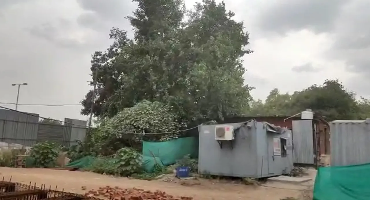 Strong winds in Vadodara gives some respite to people from scorching heat