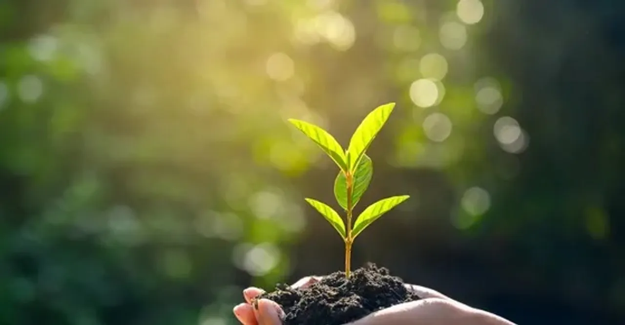 World Environment Day 2020 reminds people to ‘Celebrate Biodiversity’
