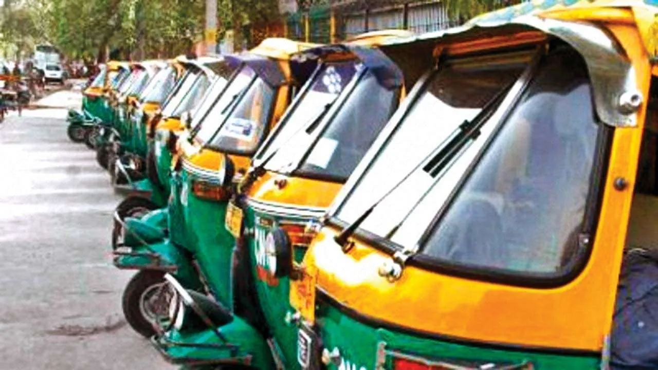Auto rickshaw driver mercilessly beat street dogs for tore down his seats