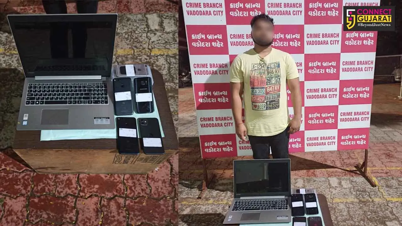 Vadodara police exposed gang for cheating foreigners