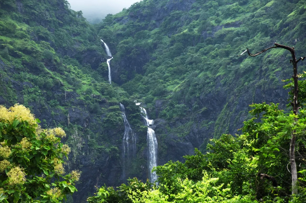 Monsoon, the time to enjoy nature in its full splendour