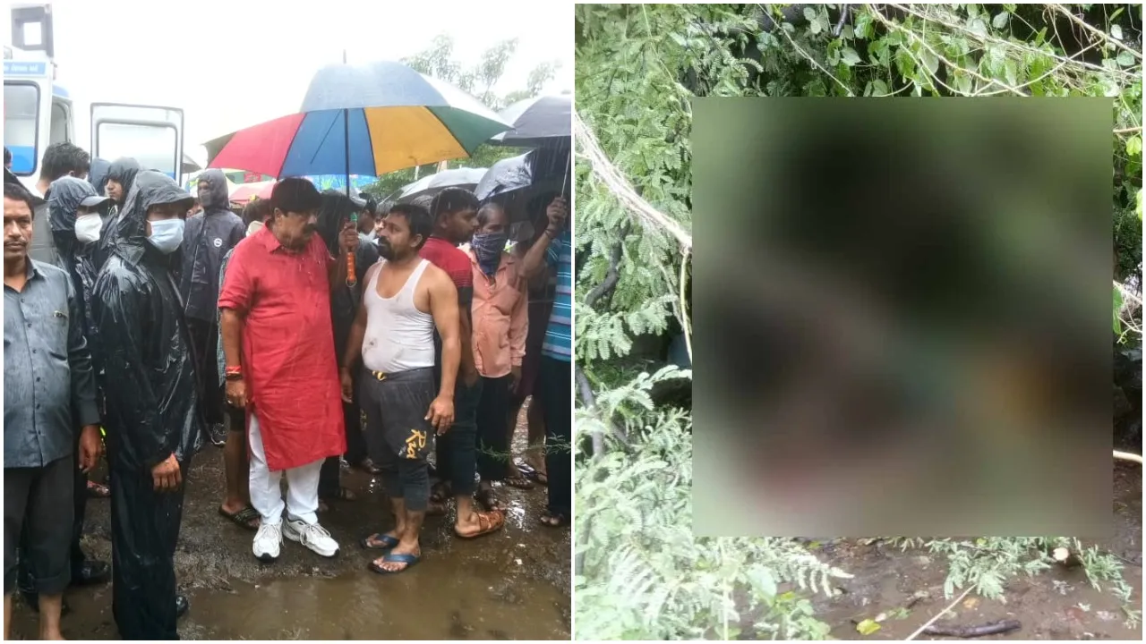 Woman crushed to death after tree fell on her in Vadodara