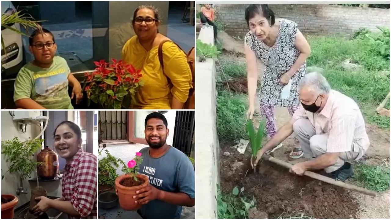 Innovative birthday celebration in Vadodara on Wednesday
