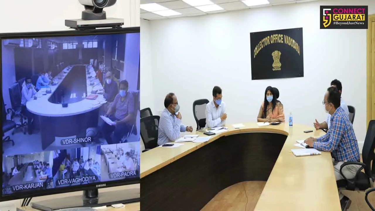 District Collector held video conference with taluka health officers