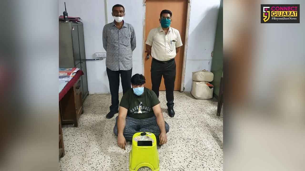 Vadodara PCB team arrested one for betting on IPL match between RCB and DC