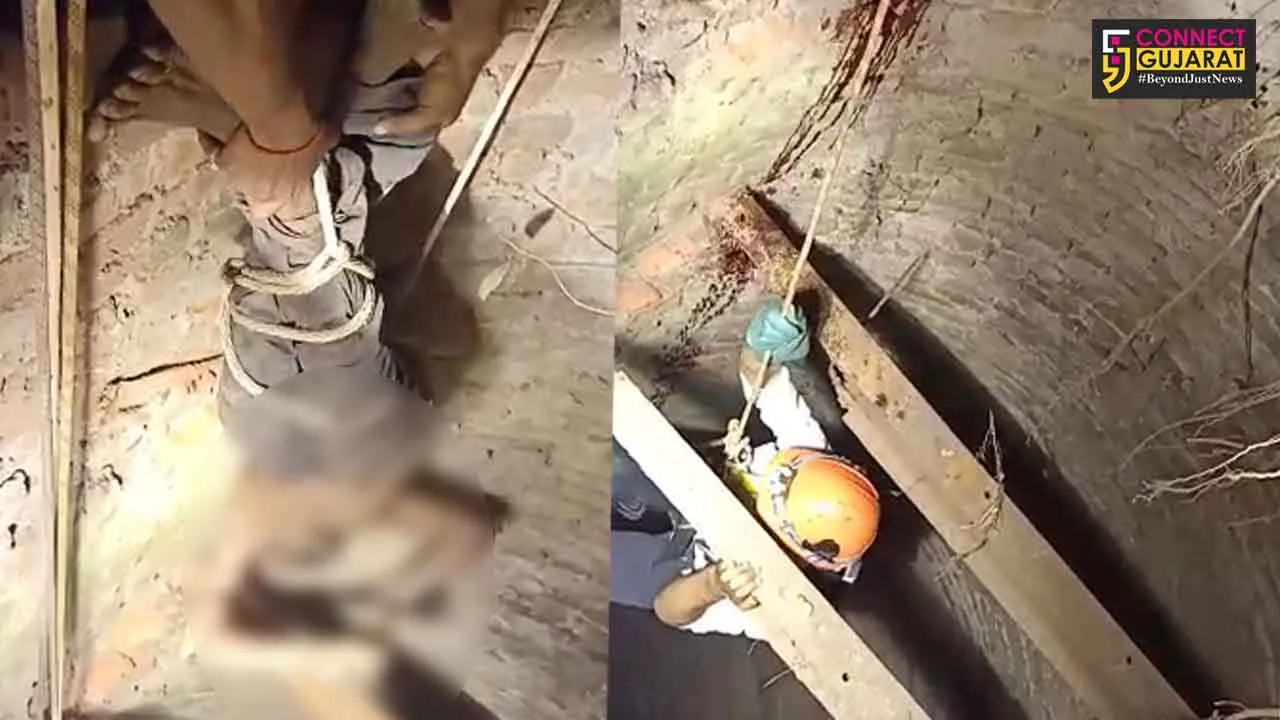 Vadodara fire brigade team rescued a person fell inside a deep well near Karjan