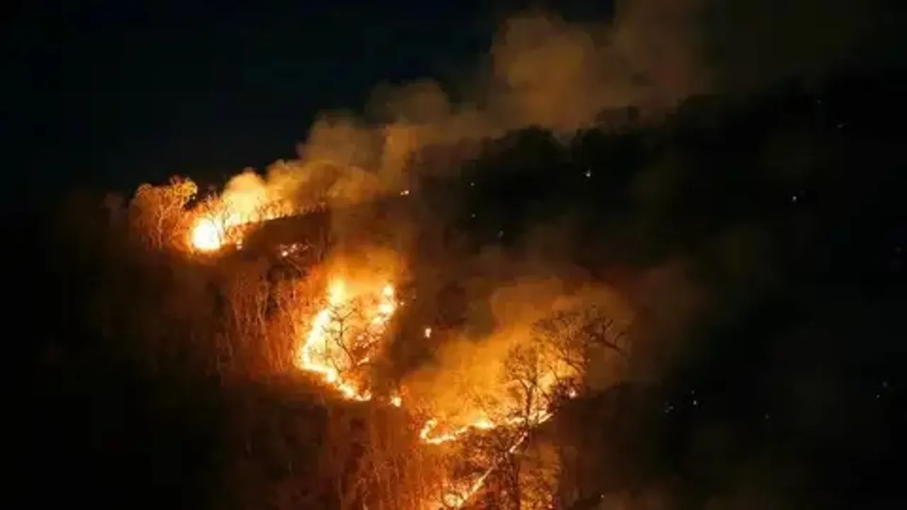 Odisha: Simlipal forest fire raging for 10 days