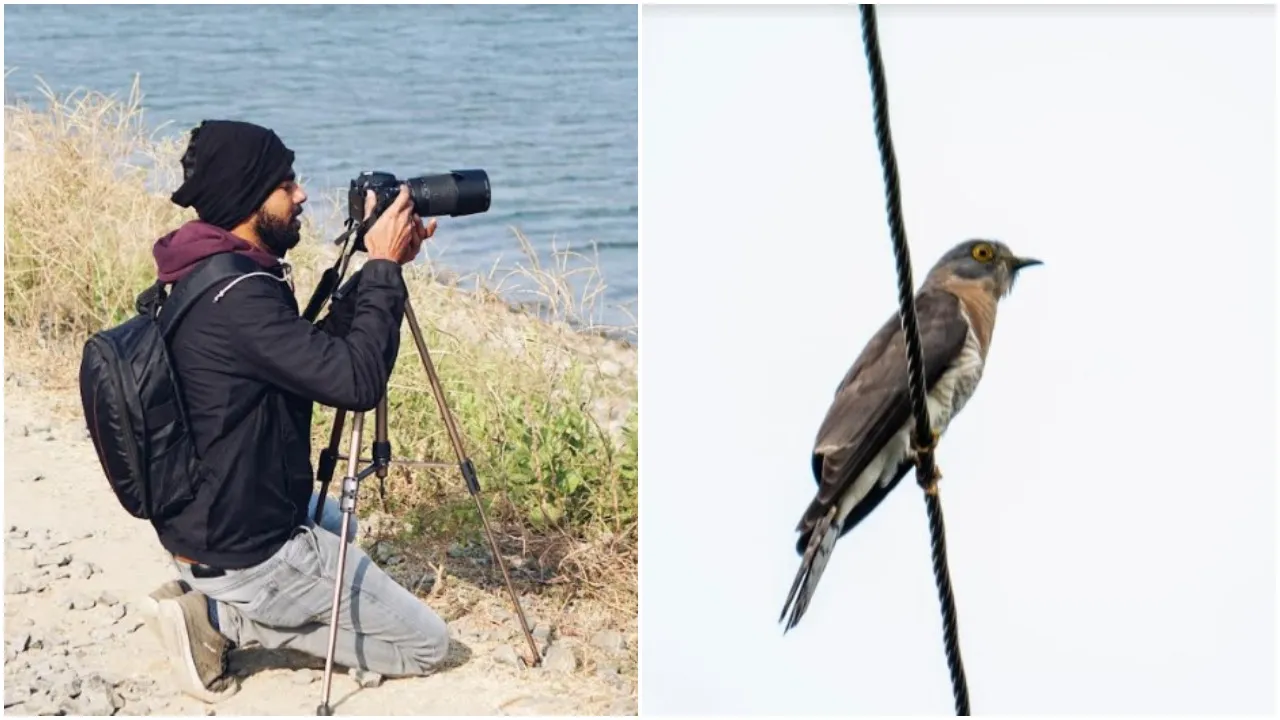 Bird whose chirping was heard in forest of Balaram was seen in Pavagadh