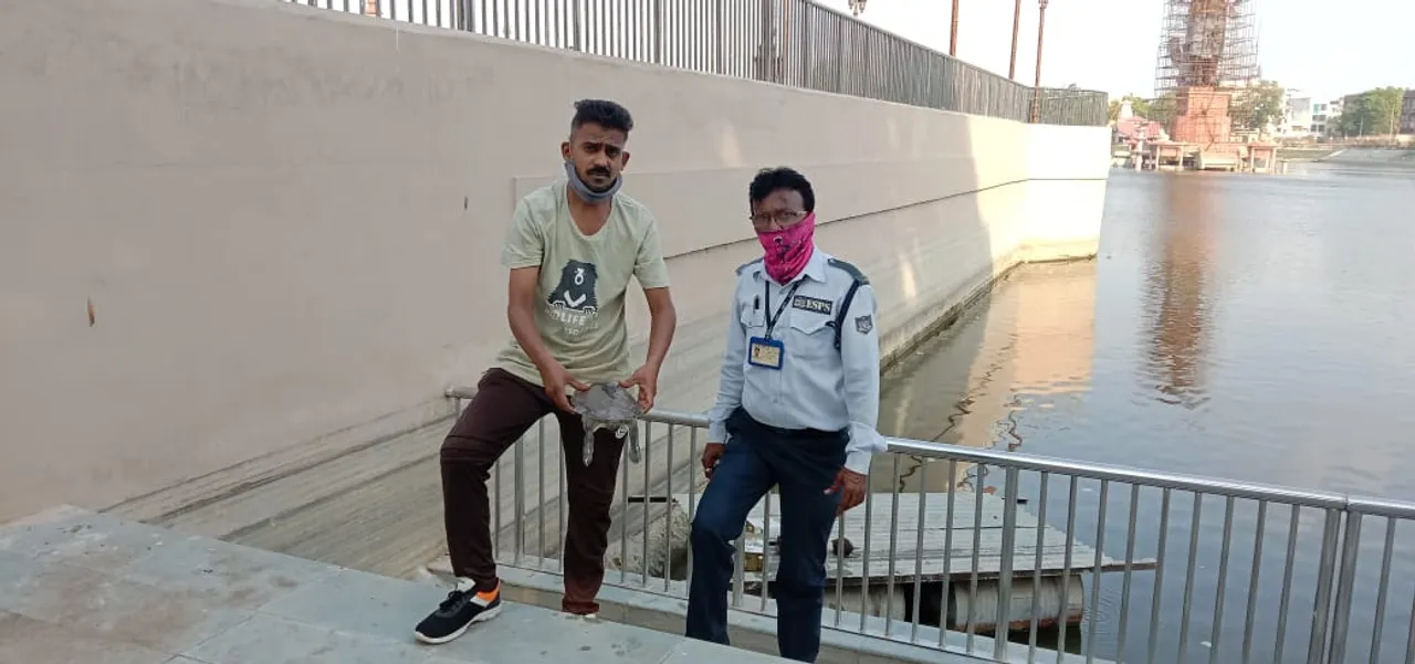 One more tortoise found dead inside the historical Sursagar lake in Vadodara
