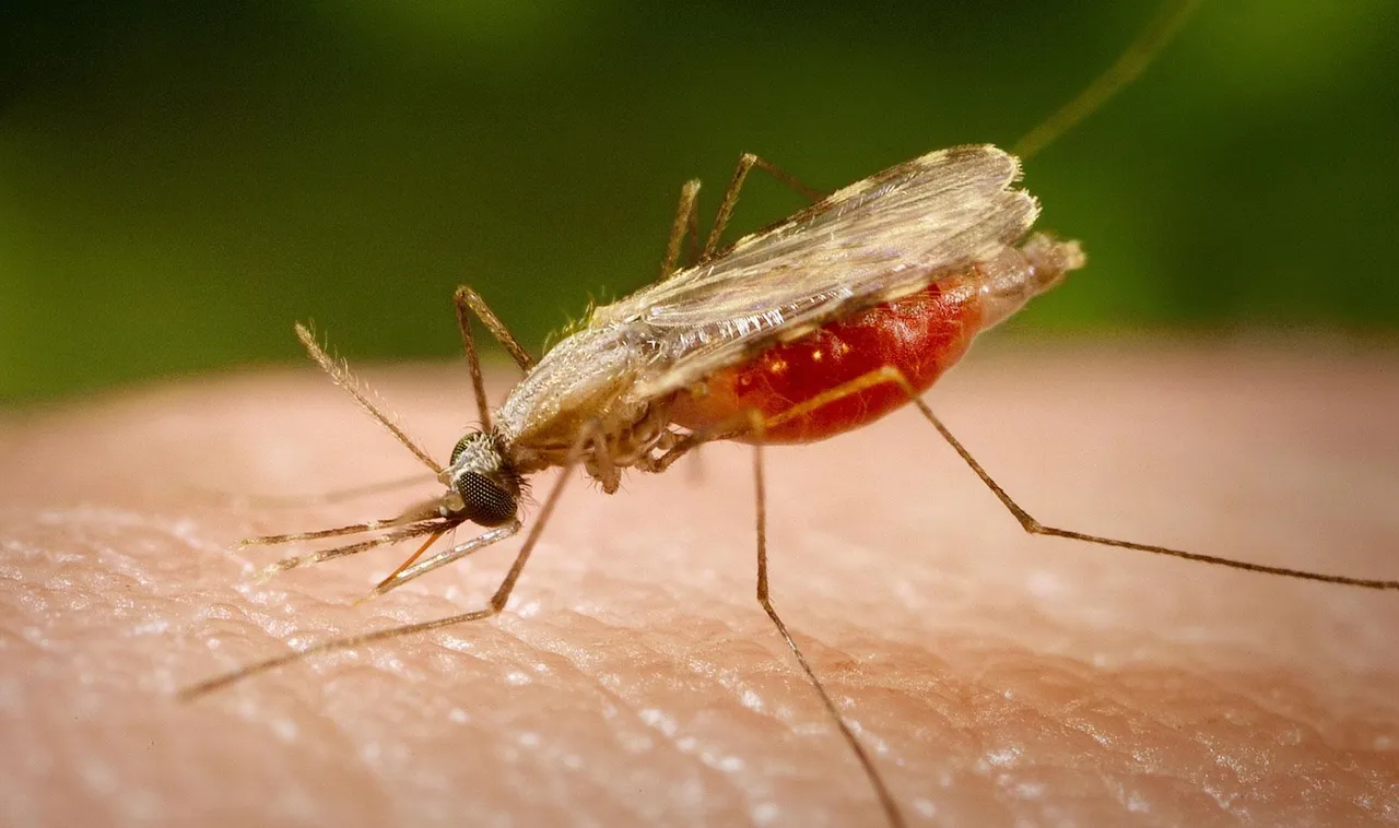 Significant reduction in malaria cases in Vadodara district as only 21 cases reported in the year 2020