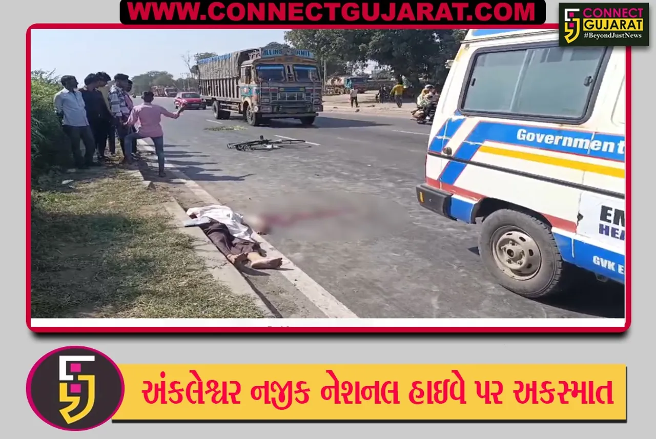 Ankleshwar National Highway Accident