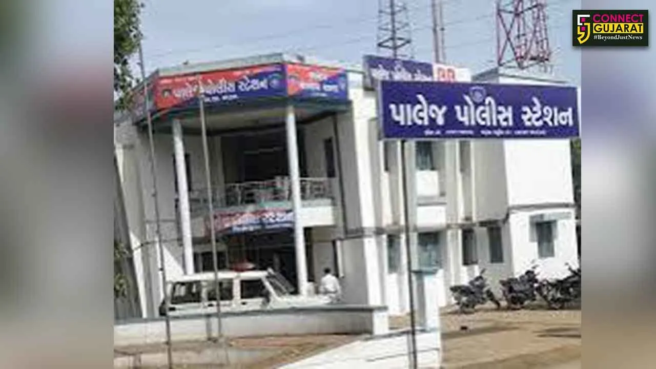 Palej Police