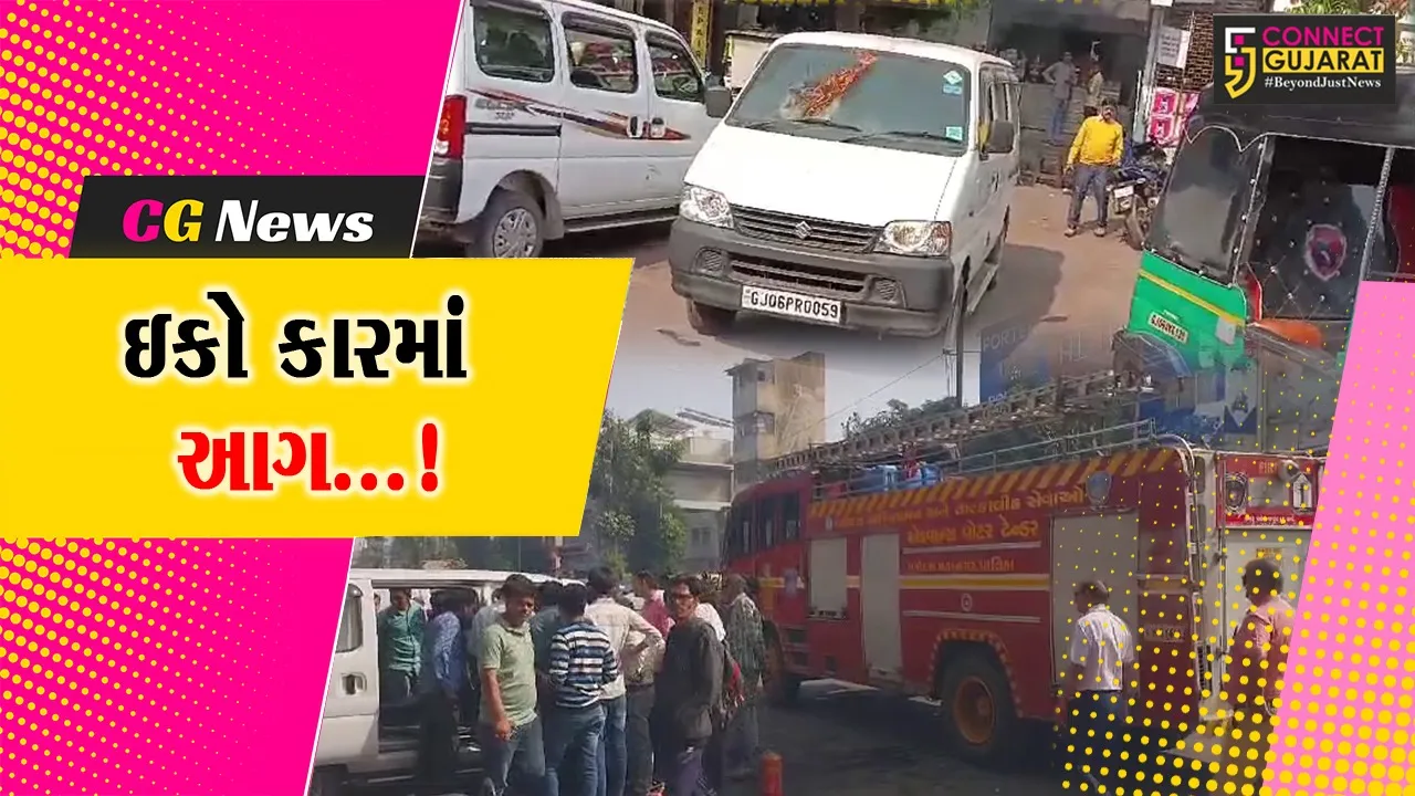 Vadodara Car Fire