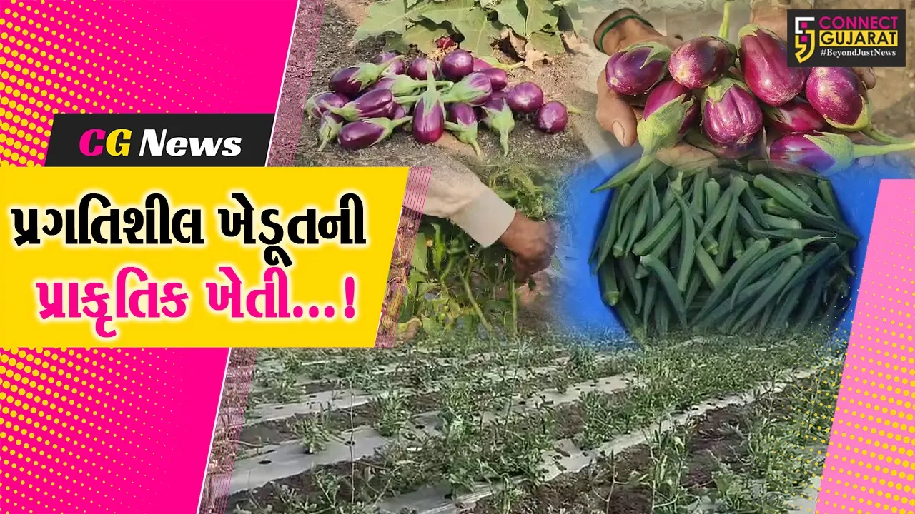 amba village farmer Natural Farming