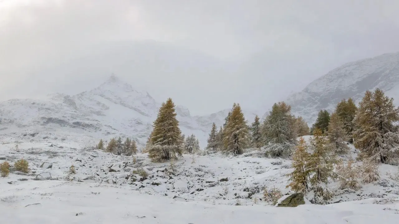 snowfall01