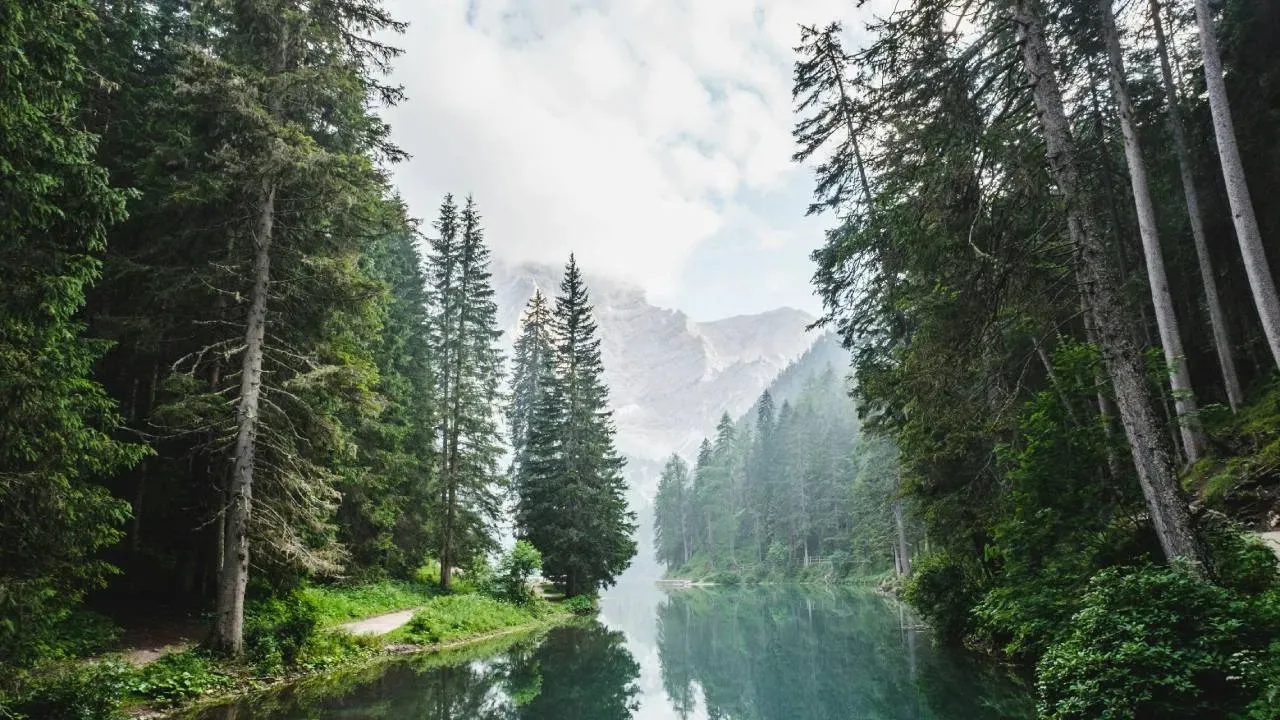himacha; pra.