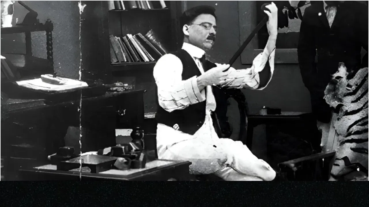 indian cinema