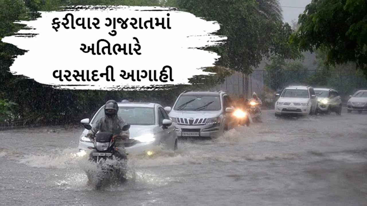 rainfall forecase