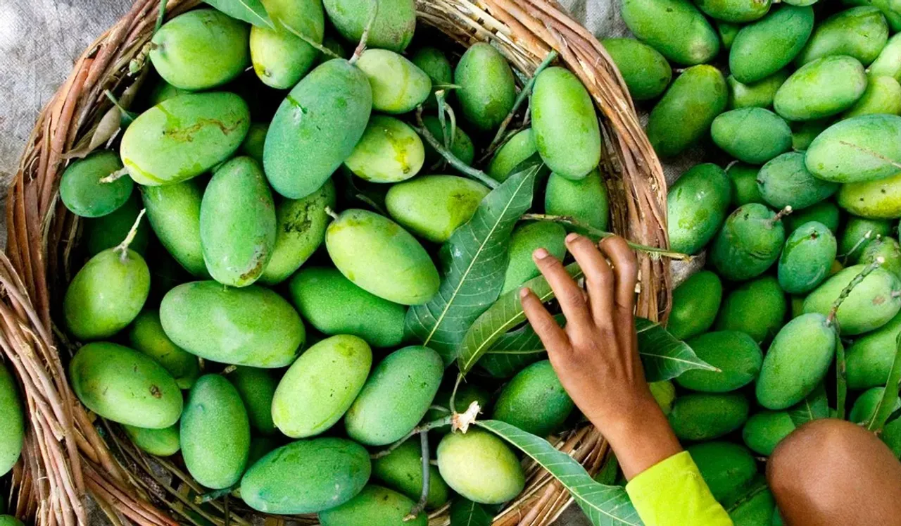 aaa