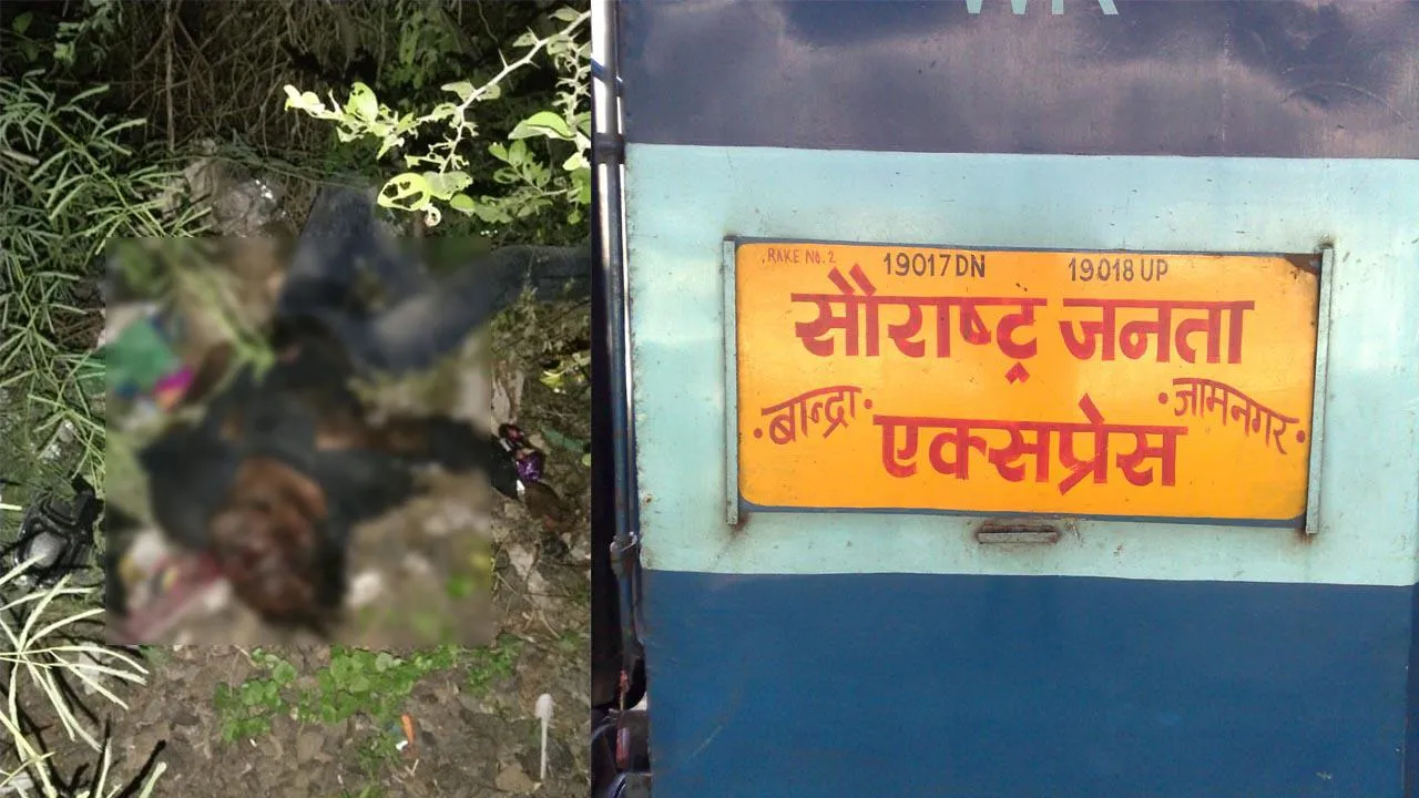 Saurashtra Janata Express train	