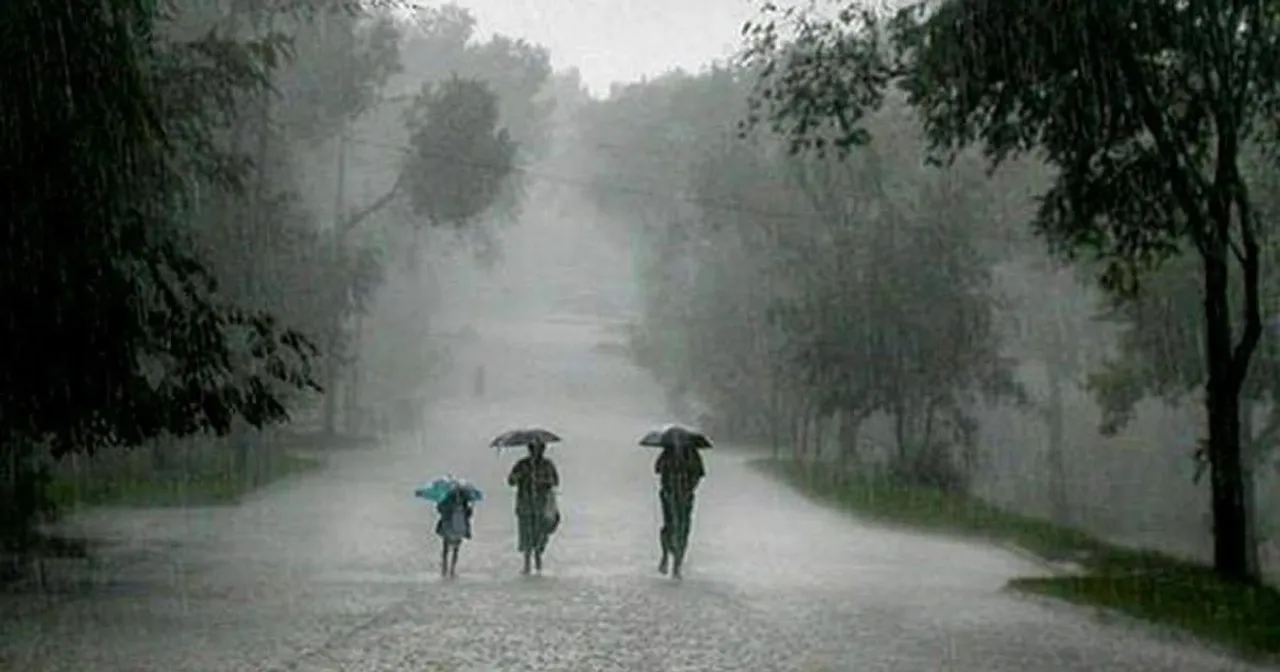 rain
