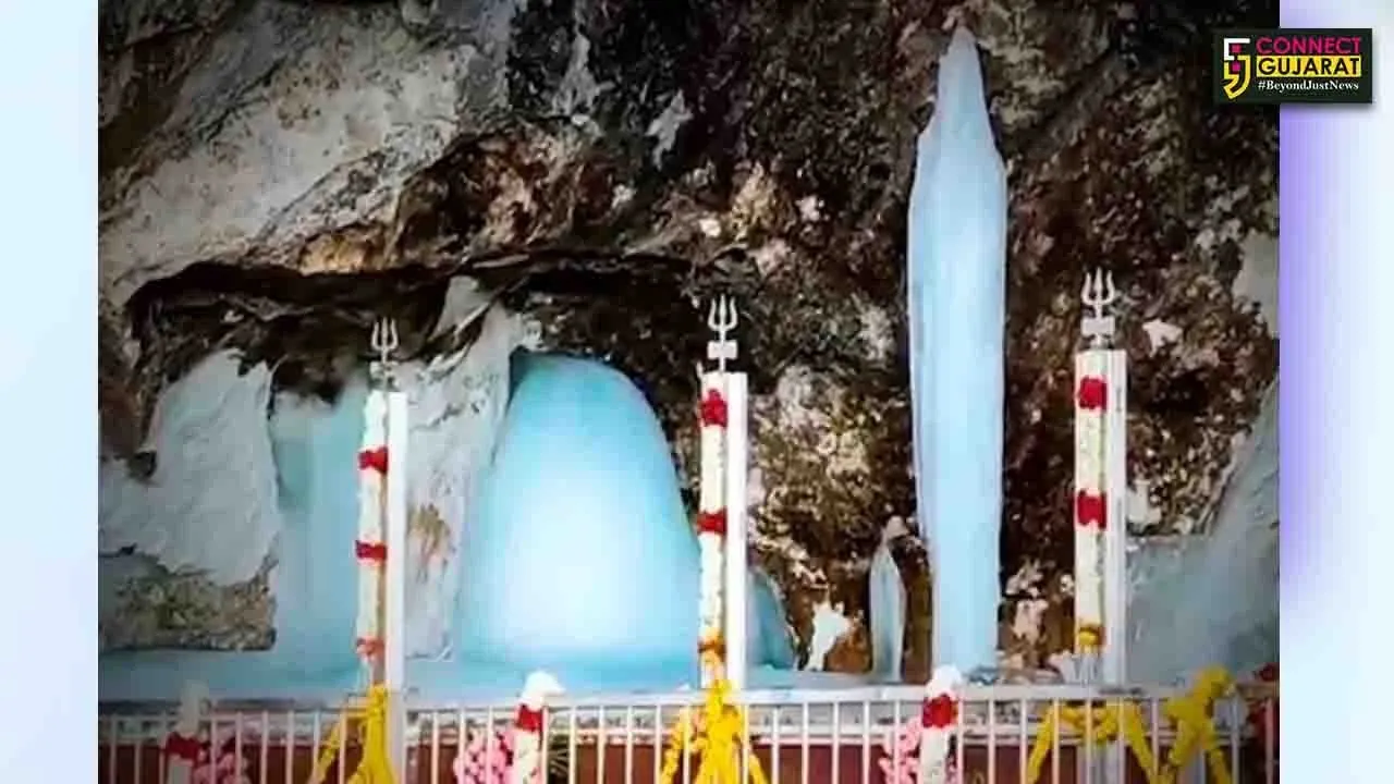 WhatsApp Image 2025-07-30 at 1.25.50 PM