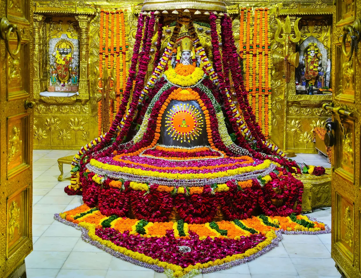 WhatsApp Image 2025-