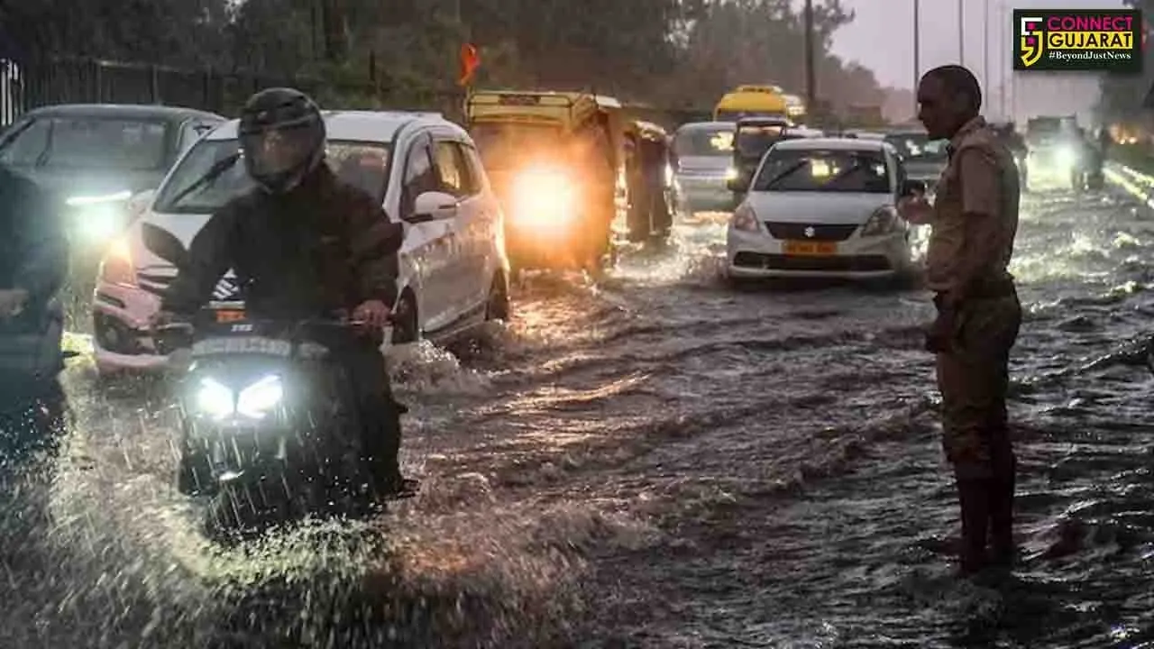 WhatsApp Image 2025-09-02 at 2.36.37 PM