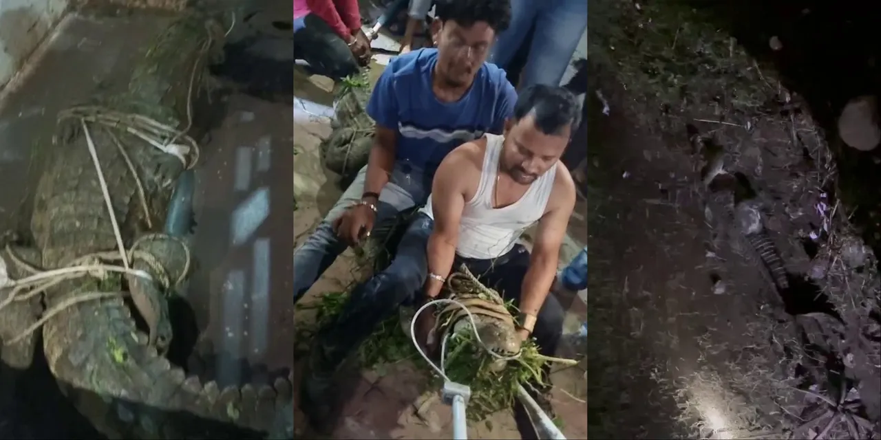 MixCollage-09-Sep-2025-10-12-AM-7548