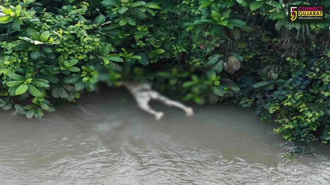 WhatsApp Image 2025-10-03 at 4.12.06 PM