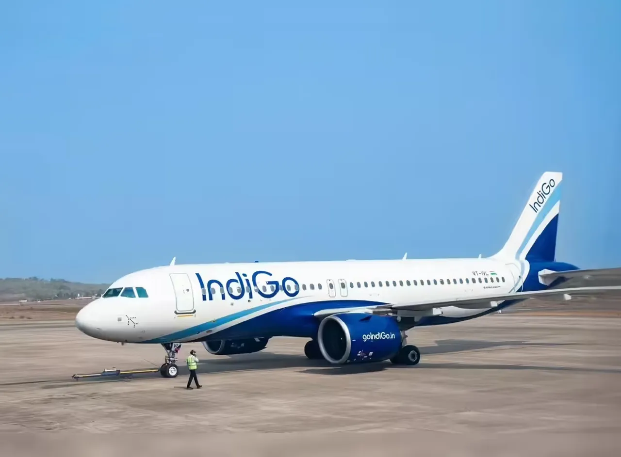 indigo