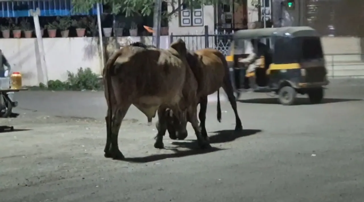 Screenshot_2025-12-14-08-10-13-36_92460851df6f172a4592fca41cc2d2e6