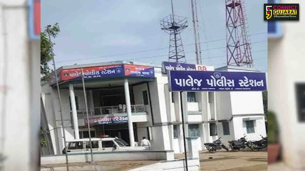 Palej Police