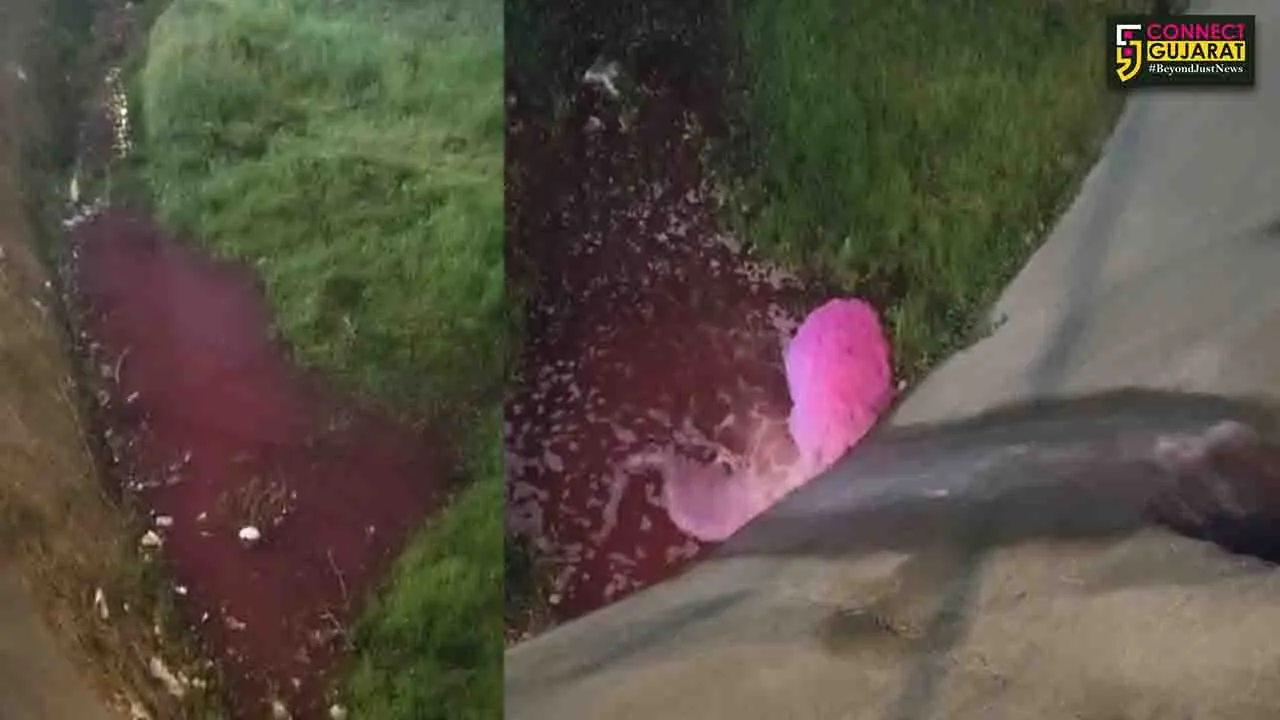 vlcsnap-2023-06-09-10h25m26s261-Recovered-Recovered-Recovered-Recovered-Recovered-Recovered