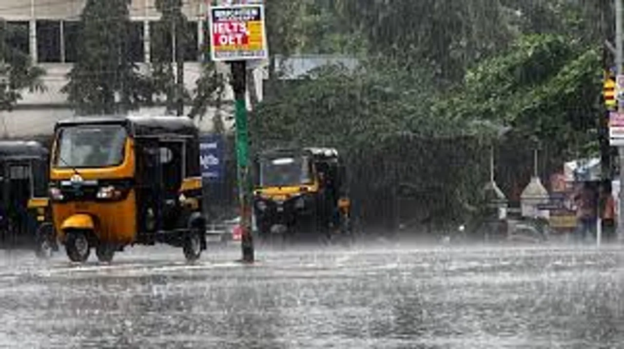 rain 