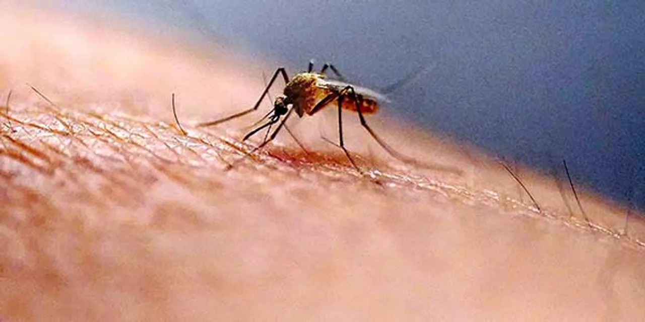 Keeping in view the cases of Zika virus, the central government has issued an advisory