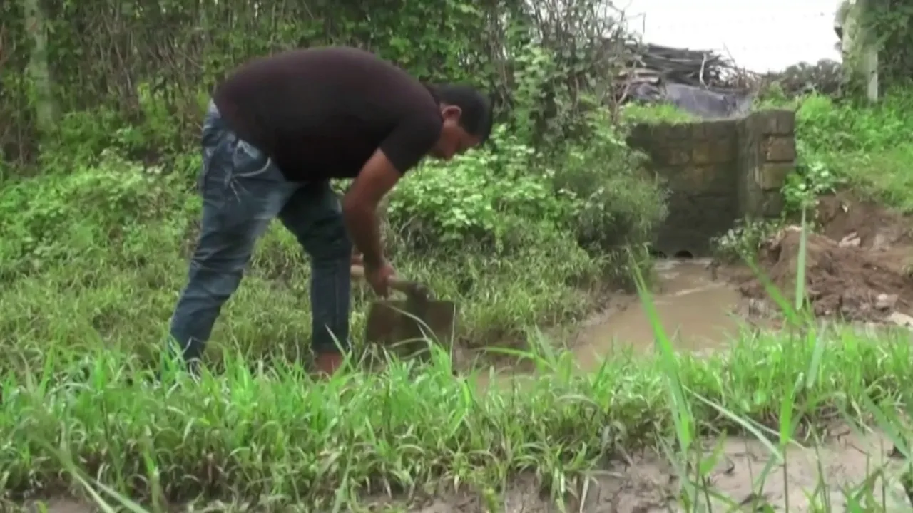 Rainwater harvesting