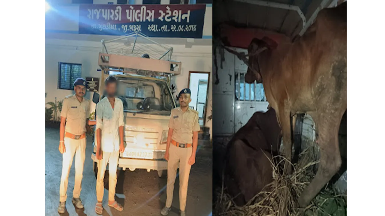Rajpardi Police