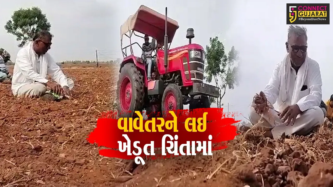 ચોમાસુ વાવેતર 