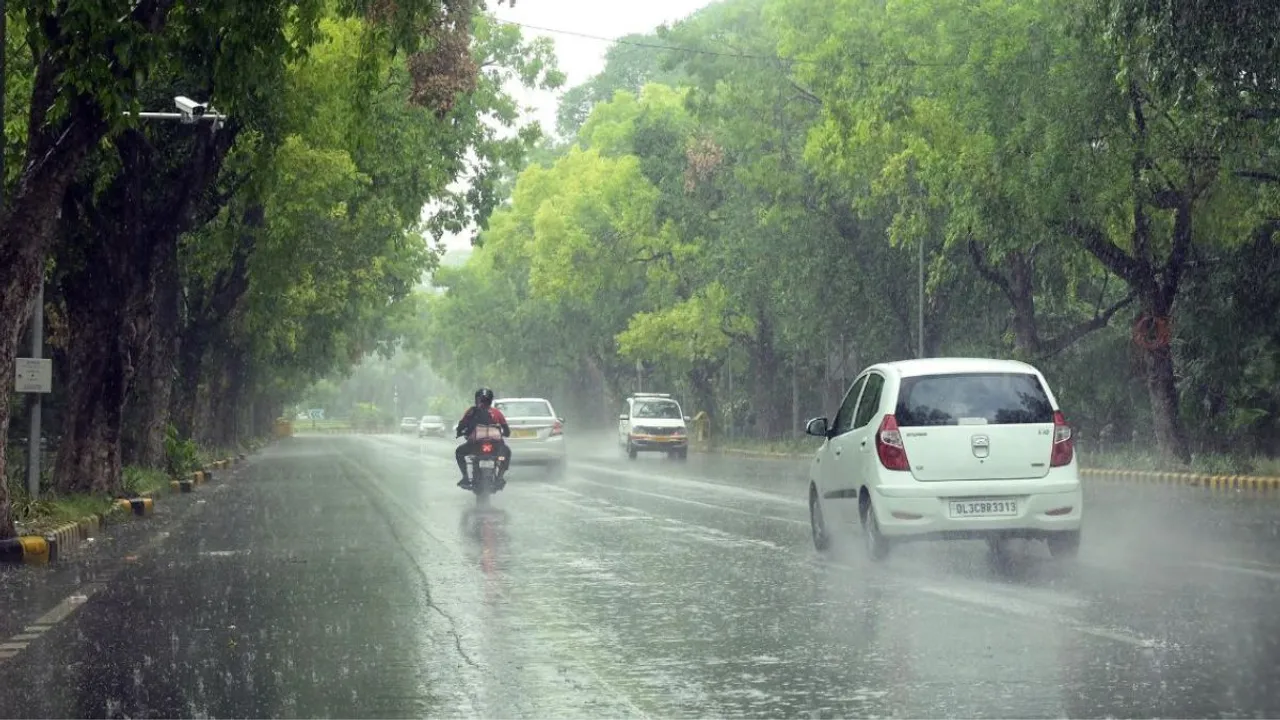 delhi