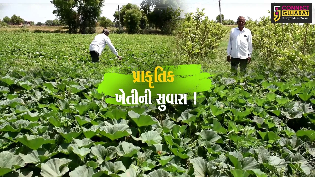 પ્રાકૃતિક ખેતી