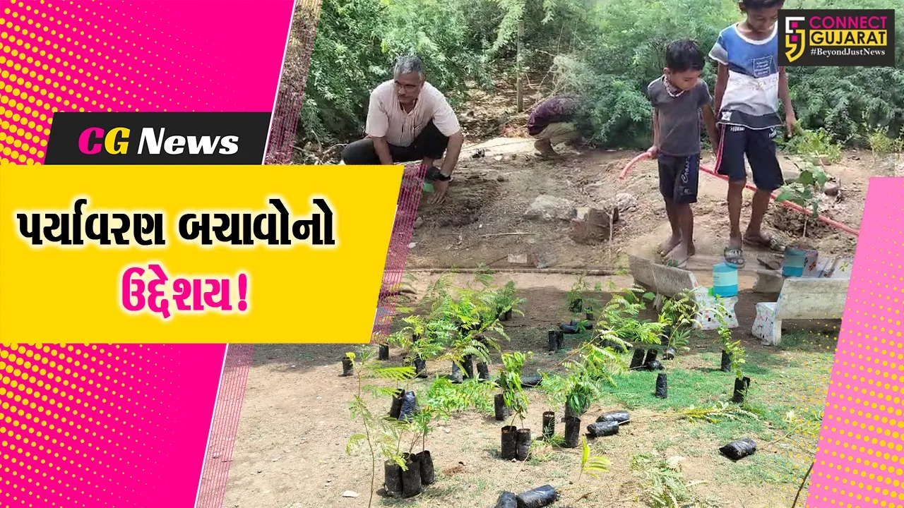 વૃક્ષારોપણ