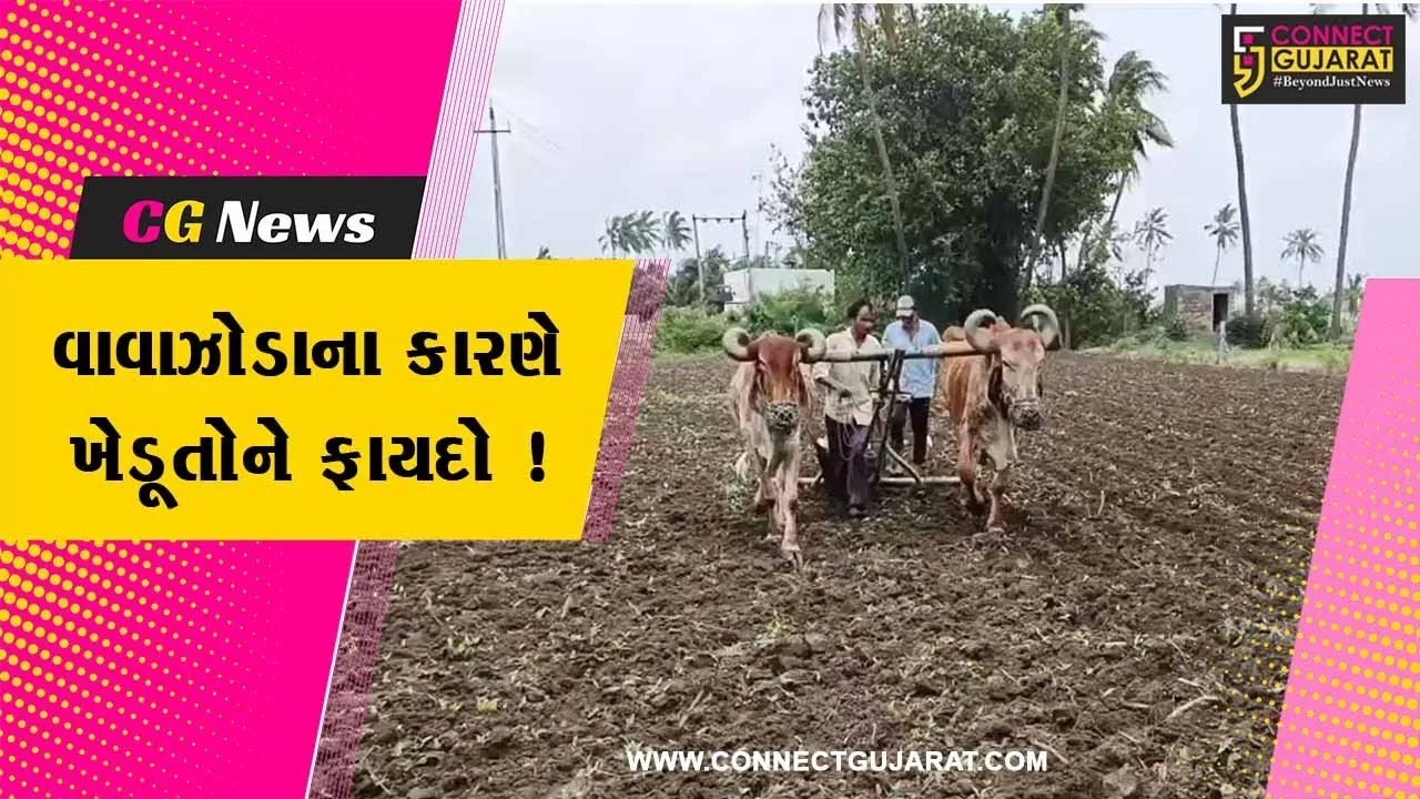ગીરસોમનાથ: બિપરજોય વાવાઝોડાના કારણે ખેડૂતોને ફાયદો ! જુઓ શું કહી રહ્યા છે ધરતીપુત્રો
